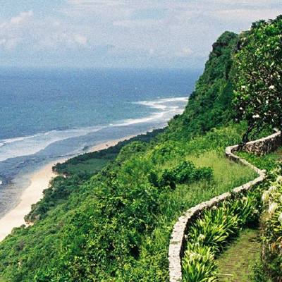 海南推进热带雨林国家公园建设